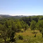 Pod Zamkiem Wlen