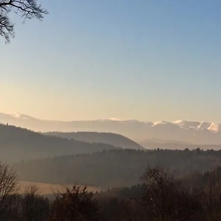 Aparthotel Pod Zamkiem Wlen