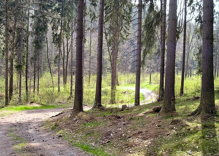 Aparthotel Pod Zamkiem Wlen